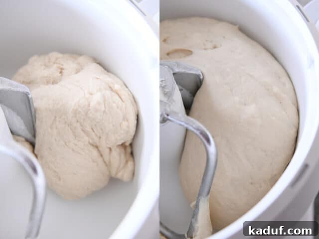 Heavenly 60-Minute Homemade Breadsticks 3 Soft, elastic breadstick dough gently rising in the bowl of a Bosch stand mixer, showcasing its readiness for shaping.