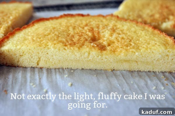 The Gold Standard Homemade Yellow Cake 7 A photo depicting a burned, dense, and ultimately failed attempt at baking a yellow cake, highlighting the importance of proper technique and ingredient temperature.