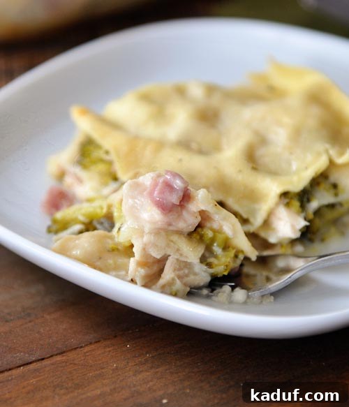 Gourmet Cordon Bleu Lasagna Bake 2 A perfectly portioned slice of creamy Chicken Cordon Bleu Lasagna, showcasing layers of pasta, chicken, ham, and cheese, on a crisp white plate.
