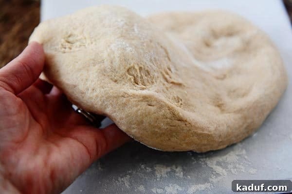 A hand gently holding a round of uncooked whole wheat pizza dough, showcasing its smooth and pliable texture, ready for shaping.