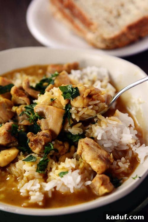 Dinner Dash Chicken Curry 2 A spoon taking a bite out a bowl of white rice and chicken curry.