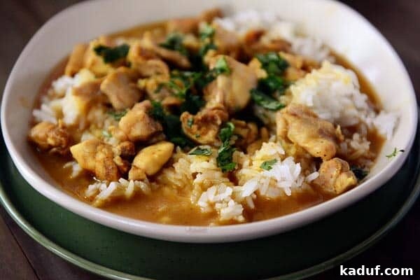 Dinner Dash Chicken Curry 4 A white bowl of cooked white rice topped with chicken curry and sauce.