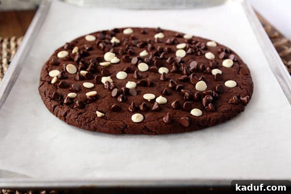 Colossal Double Chocolate Indulgence 2 A giant white and chocolate chip topped chocolate cookie on a sheet of parchment paper, ready to be enjoyed.