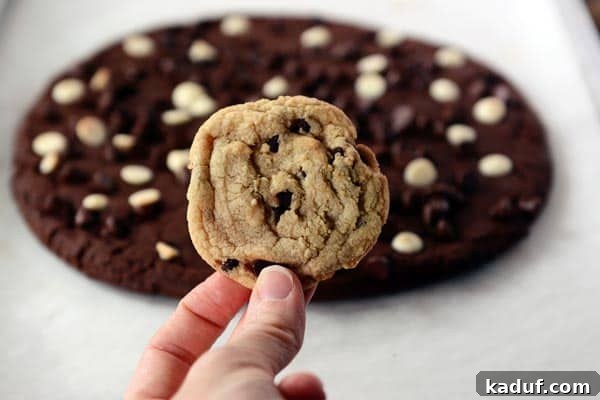 Colossal Double Chocolate Indulgence 3 A small chocolate chip cookie being held up in front of a giant chocolate cookie, highlighting its impressive size difference.
