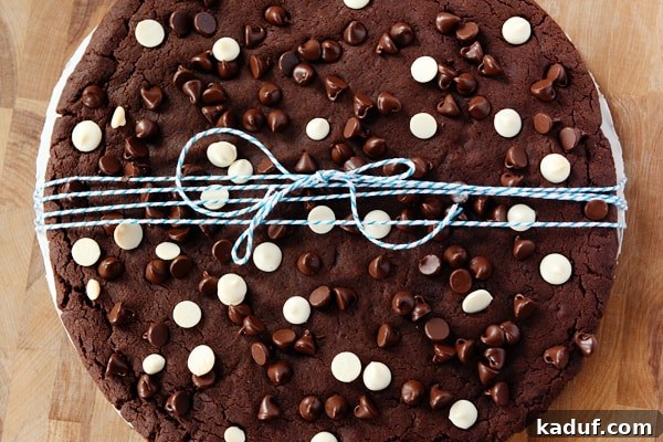 Colossal Double Chocolate Indulgence 5 A giant chocolate cookie with a blue and white ribbon tied around it, prepared as a gift.