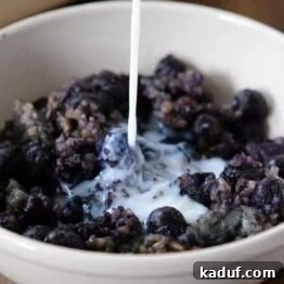 Blueberry and almond baked steel cut oats in a bowl.