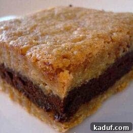 Dark Chocolate Ganache Filled Brown Sugar Bars