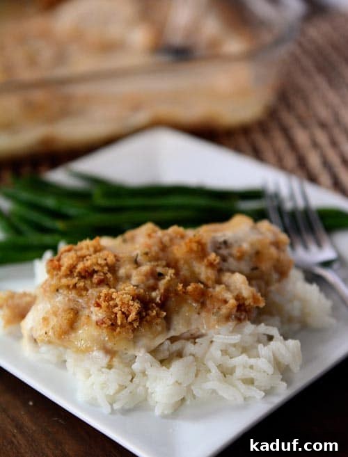 Golden Crusted Swiss Chicken Bake 2 White rice topped with a crunchy-topped swiss cheese chicken breast, showcasing the golden crust and melted cheese.