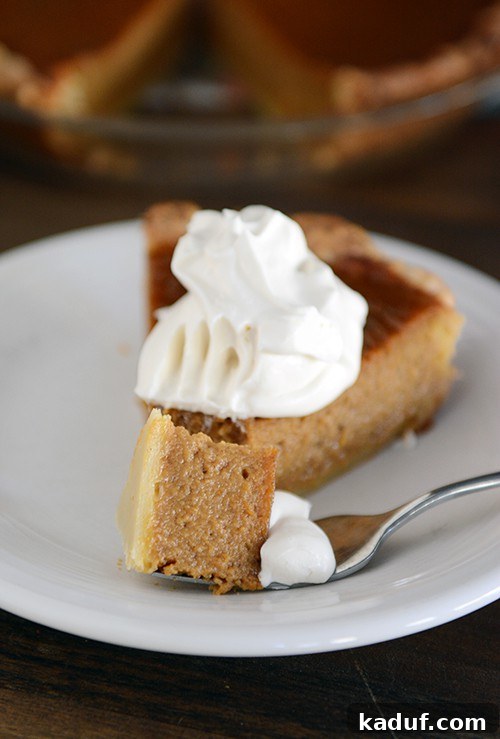 Simply Perfect Pumpkin Pie 4 A fork piercing into a slice of classic pumpkin pie, topped with a generous dollop of fluffy whipped cream, emphasizing its creamy texture.