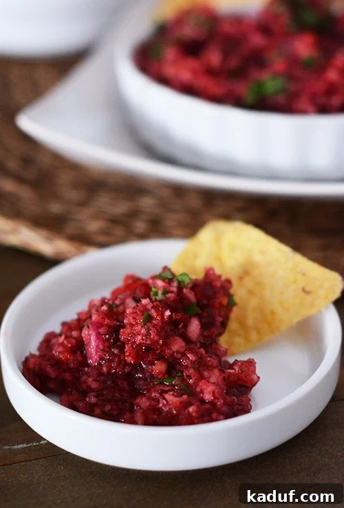 Vibrant Cranberry Salsa 2 A scoop of vibrant fresh cranberry salsa on top of a crispy tortilla chip, ready to be enjoyed.