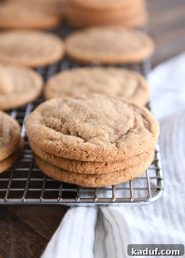 Gingerbread Bliss Bites 2 Stack of three soft and chewy ginger molasses cookies on cooling rack.