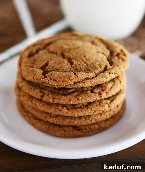 Gingerbread Bliss Bites 10 A stack of five brown molasses cookies on a white plate.