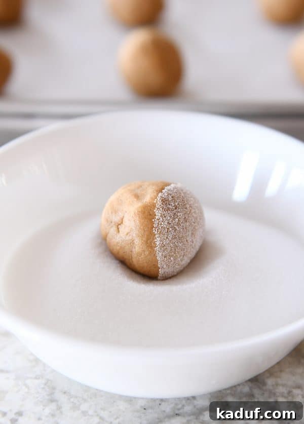 Gingerbread Bliss Bites 4 Rolling soft and chewy ginger molasses cookie dough in sugar.