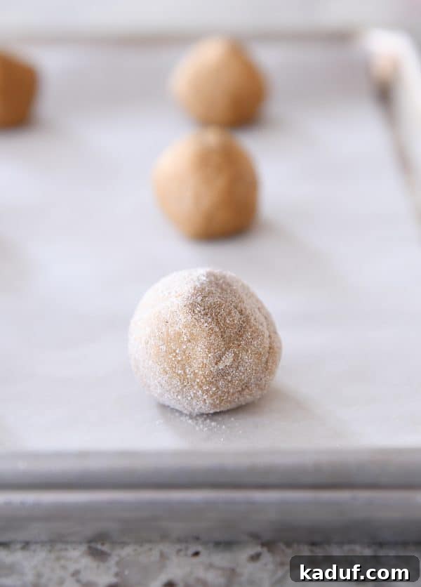 Gingerbread Bliss Bites 5 Ginger molasses cookie dough balls rolled in sugar.