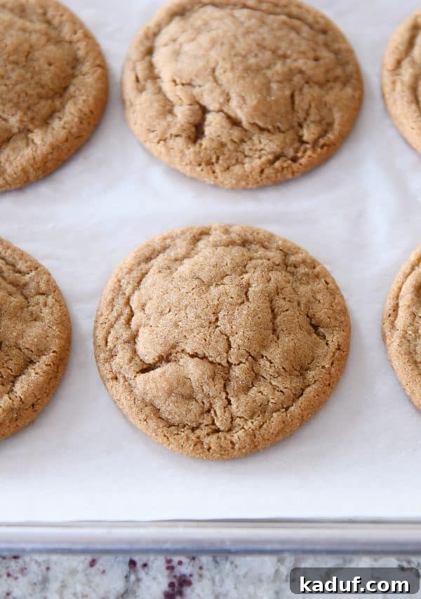 Gingerbread Bliss Bites 6 Soft and chewy ginger molasses cookie baked on sheet pan.