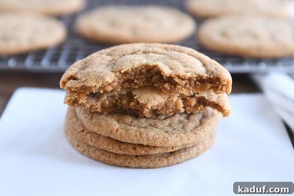 Gingerbread Bliss Bites 8 Soft and chewy ginger molasses cookie broken in half.