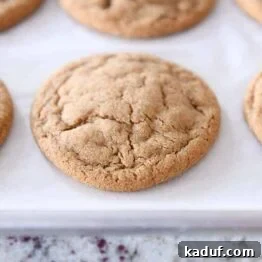 Soft and Chewy Ginger Molasses Cookies