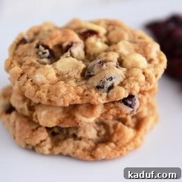 Decadent White Chocolate Craisin Coconut Oatmeal Cookies 4 A beautifully crafted White Chocolate Oatmeal Craisin Coconut Cookie.