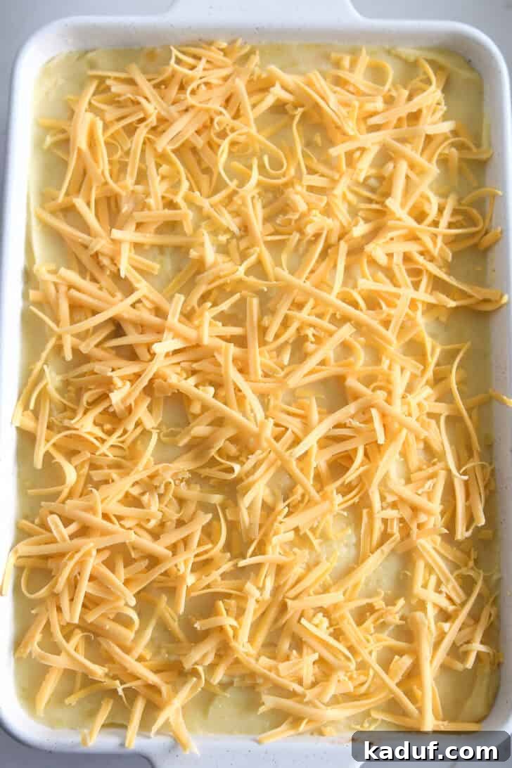 Lamb and Potato Comfort 6 A white casserole dish with a smooth layer of mashed potatoes topped with shredded cheddar cheese, ready for baking.