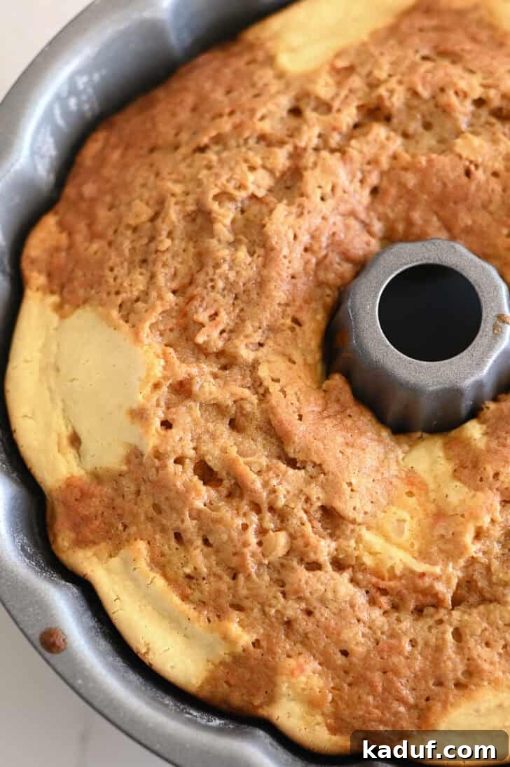 Marbled Carrot Bundt with Cream Cheese Bliss 10 Top down view of a metal bundt pan with a cooked carrot cream chese swirl bundt cake inside.