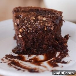 A perfectly baked, fudgy chocolate chip yogurt cake, ready to be sliced and enjoyed.