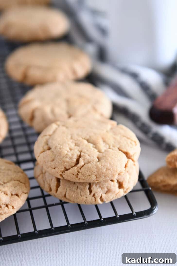 Irresistible Peanut Butter Cookies 11 Two perfectly baked peanut butter cookies stacked on a cooling rack, gleaming with a golden hue.