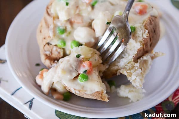 Loaded Chicken Pot Pie Spud 3 A baked potato topped with creamy chicken pot pie filling, featuring visible chicken pieces, carrots, and peas, with a fork poised to take a bite.
