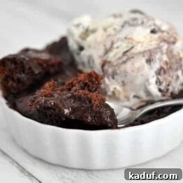 Hot Fudge Pudding Cake with ice cream