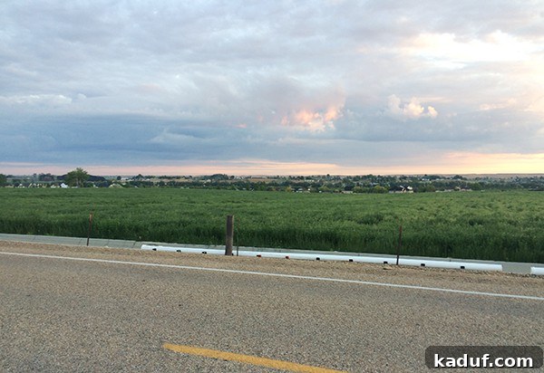 Week Seventeen Training Insights 4 A scenic view of a morning road bathed in sunlight, perfect for a long run.