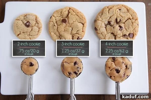 Cookie Scoops And Beyond Many Clever Kitchen Uses 5 Different sizes of cookie dough scoops full of raw dough shown alongside baked cookies of corresponding sizes, clearly illustrating the transformation.