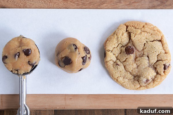 Cookie Scoops And Beyond Many Clever Kitchen Uses 6 A medium cookie scoop full of raw cookie dough positioned next to another perfectly formed ball of raw dough and a beautifully baked cookie.