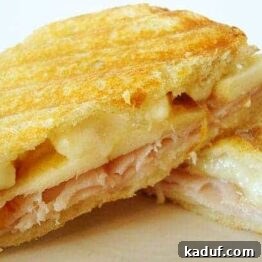 Close-up of a delicious smoked turkey, brie, and apple panini.