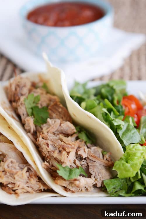 A vibrant shredded pork taco in a soft flour tortilla, garnished with fresh lettuce and ripe tomatoes, ready to be enjoyed.