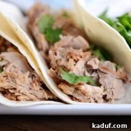 A dish of slow cooker pork carnitas, ready for serving.