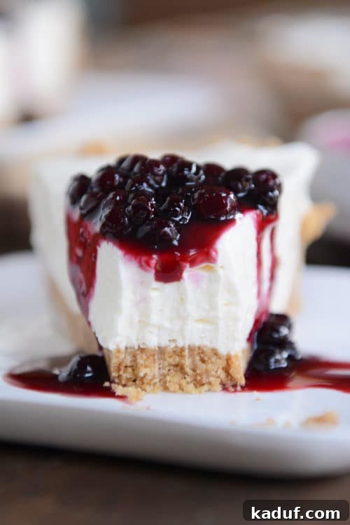Ultimate No-Bake Cheesecake 11 A delectable slice of graham cracker crust no-bake cheesecake, with one perfect bite taken out, adorned with a luscious blueberry sauce on top.