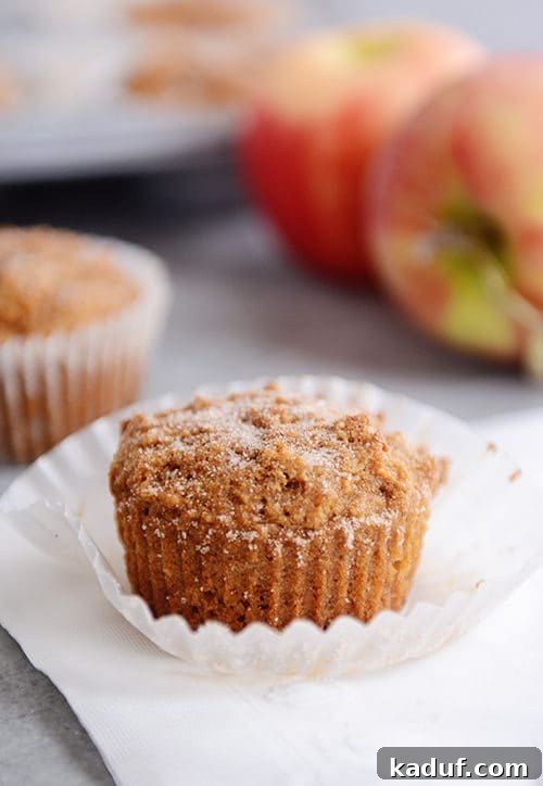 Wholesome Apple Cinnamon Muffins 5 A cinnamon and sugar dusted applesauce muffin sitting on a white muffin liner.