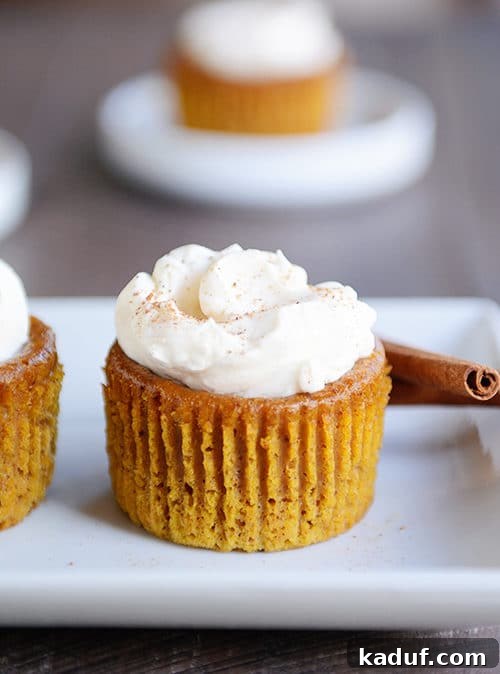 Pure Pumpkin Pie Cup Delights 2 A crustless pumpkin pie cupcake topped with whipped cream and a cinnamon stick, set beside another cupcake on a serving tray.