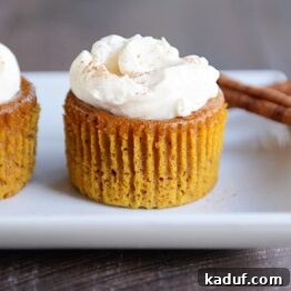 Pure Pumpkin Pie Cup Delights 4 A side shot of a single crustless pumpkin pie cupcake, garnished with whipped cream and a sprinkle of nutmeg.