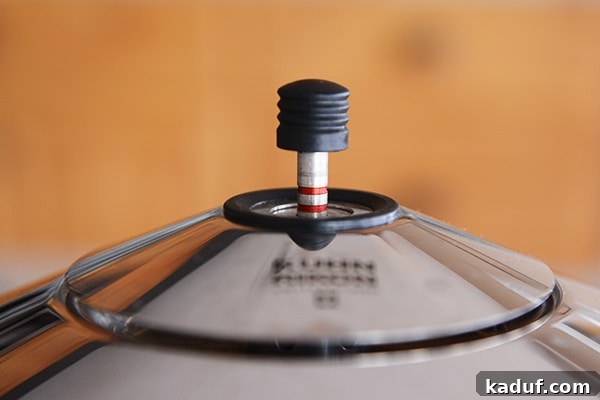 Exploring Pressure Cooking Benefits Types and Resources 5 A stovetop pressure cooker with steam escaping from its vent, highlighting the active cooking process.