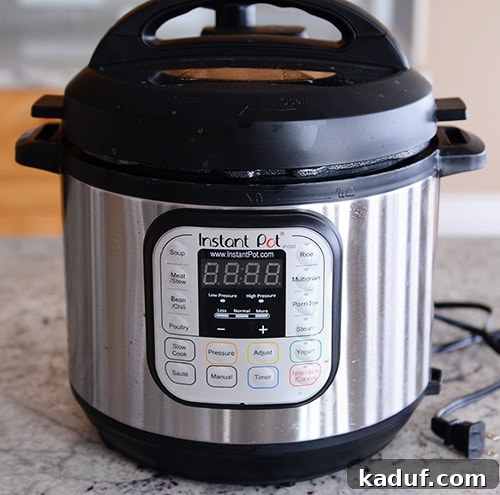 Exploring Pressure Cooking Benefits Types and Resources 7 An Instant Pot electric pressure cooker sits prominently on a kitchen counter, ready for use.