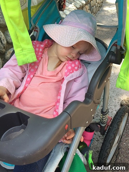 The Chill Girl's Disneyland Playbook 9 A little girl peacefully asleep in a stroller at Disneyland, surrounded by crowds.