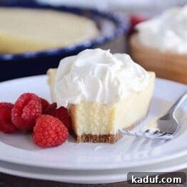A perfectly baked individual slice of Magnolia Lemon Pie with a golden graham cracker crust and smooth, pale yellow lemon filling, waiting for its whipped cream topping.