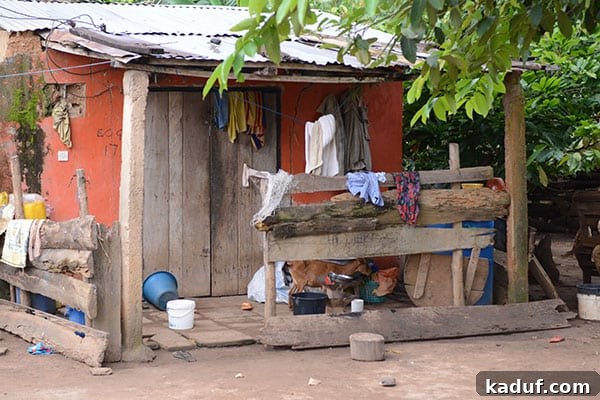 Answering Africa's Call 18 Modest village house in rural Ghana
