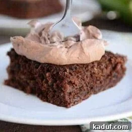 The Best Chocolate Zucchini Cake