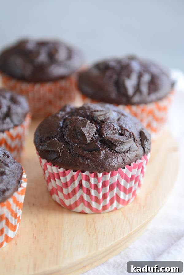 Fudgy Double Chocolate Chunk Muffins 2 Chocolate chunk muffins in striped red and orange muffin liners, showcasing their fluffy tops and rich color.