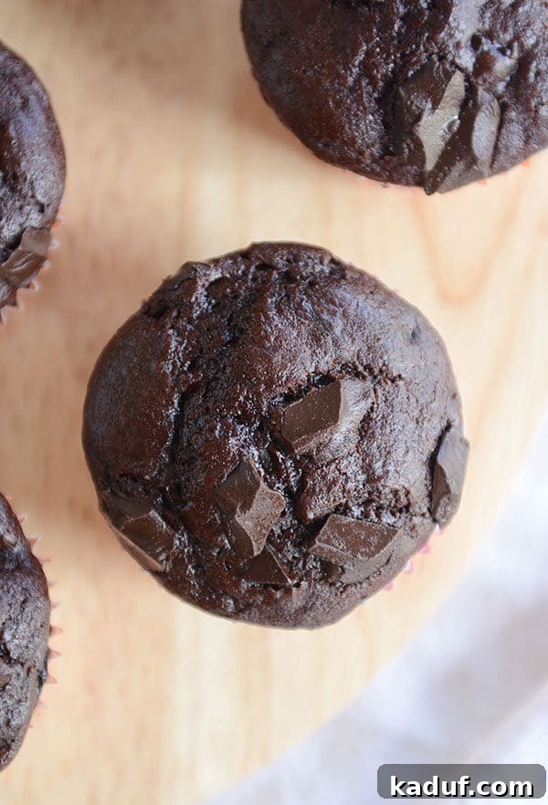 Fudgy Double Chocolate Chunk Muffins 3 A close-up, top view of a single double chocolate chunk muffin, highlighting its textured top and embedded chocolate pieces.