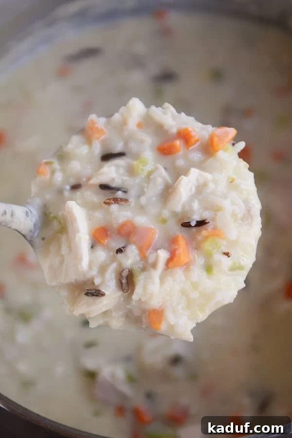 Hearty Creamy Chicken and Wild Rice Soup 3 A ladle gracefully lifting a spoonful of creamy chicken and wild rice soup, showcasing its rich texture and abundant ingredients over the main pot.