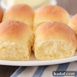 Golden Cloud Cornbread Dinner Rolls 5 img 35027 4
