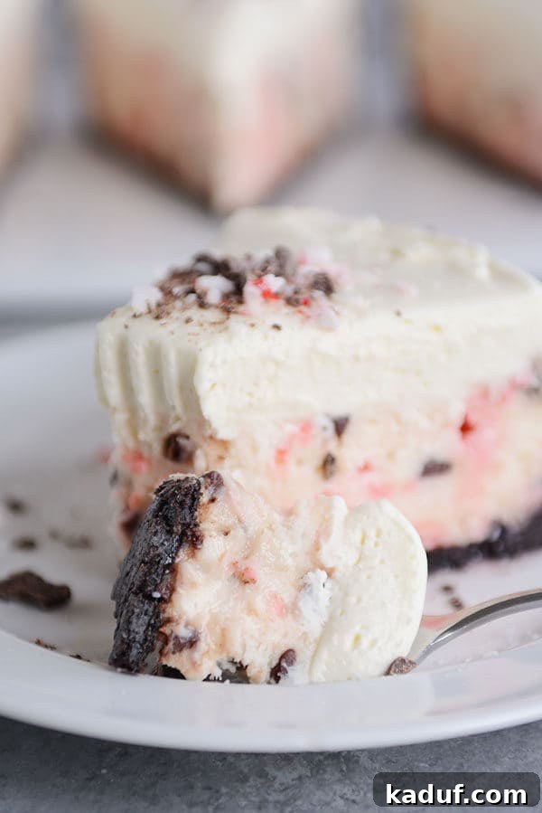 White Chocolate Mousse Cheesecake with Peppermint Bark 5 A fork poised to take a bite from a beautifully layered slice of peppermint white chocolate cheesecake.