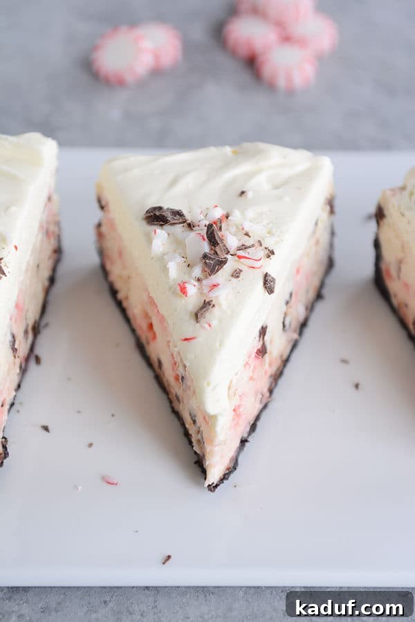 White Chocolate Mousse Cheesecake with Peppermint Bark 6 A perfect slice of peppermint chocolate cheesecake, resting on its dark chocolate cookie crust.